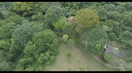 Cabin in the middle of the trees.