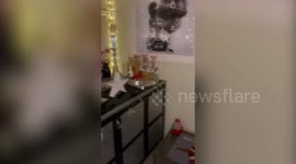 Meet the pampered pooch whose owner has built him his own Santa Grotto - complete with a stack of presents worth £2,000