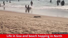 Goa Beach Hopping