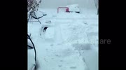 temp