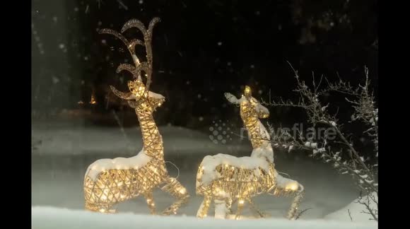 Watch lifesize reindeer models drown in four-hour Canadian snowfall captured in 30 seconds