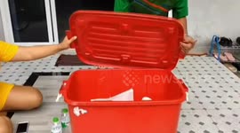 Thai couple find lump of ambergris whale vomit worth up to $600,000