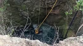 Indian bison thrashes wildly while being lifted out of pit during rescue