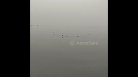 Rowing in the mist in the venice lagoon