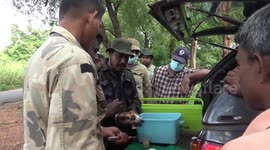 Veterinary services personnel treat injured elephant in Sri Lanka
