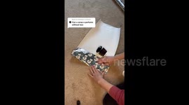 Michigan mom shows off easy and creative way to wrap a perfume without a box