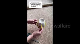 How to wrap a mug easily without using a box