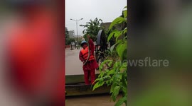 Cobra rescued from flooding in Vietnam