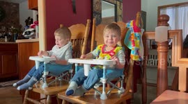 Preciously cute twin 18 month old boys eat and share theirpeanut butter and jelly sandwiches