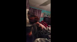 Funny dog doesn't mind playing dress up