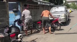 Monitor lizard caught after hiding under car and running into road