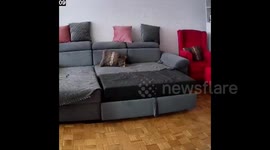 Living room shakes during strong 6.3 magnitude earthquake in central Croatia