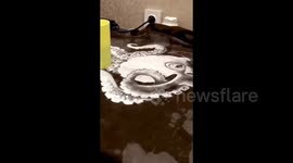 Creating a fashionable trench coat with an octopus on the back