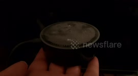 Even Alexa Did Not Like 2020