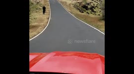 South Maui Traffic Jam #2