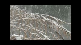 Snow fall in Kashmir