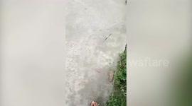 Boy, 10, killed and five injured when helium balloon tank explodes outside shop