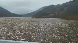Serbia: Video Showing Potpeć Lake Covered In Floating Thick Layer Of Garbage