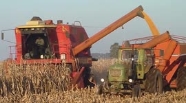 Strong price increase for soybeans and other agricultural commodities