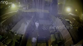 An icy tumble caught on camera