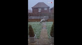 Excited dalmatian pup leaps up into air attempting to catch snow falling in UK