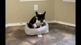 When you think you’re not being watched