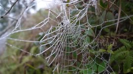Picturesque ice formations adorn trees and mountains in southern China