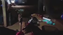 Elephant raids house in the middle of the night while searching for food