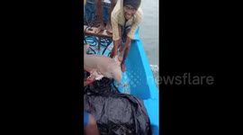 Kind fishermen reunite endangered dugong calf with mother in intense rescue