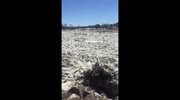 temp