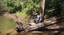 Snake rescuer gets attacked in terrifying encounter with 15-foot-cobra