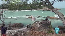 Giant 37ft long whale washes up on a beach in Thailand