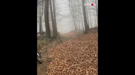 Cycling Thru Heap Of Maple Leaf, Funny Fail