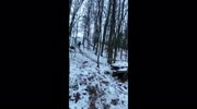 temp