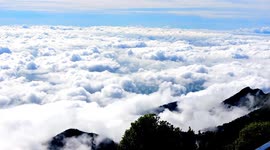 Enchanting 'Foaming tide' clouds filmed in hills above south India