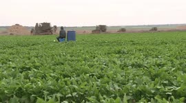 Israeli bulldozers entered the eastern border in Khan Yunis, south of the Gaza Strip