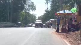 Starving monkeys eat food from bins as Covid-19 decimates tourism in Thailand