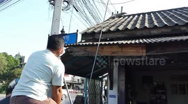 Wild monitor lizard found sunbathing on family’s roof