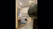 temp