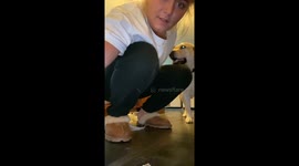 Teaching my dog a lesson