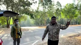 Pensioner, 80, camping in forest trampled to death by hungry elephant in Thailand