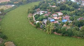 Mystery water hyacinth bloom covers river in Thailand