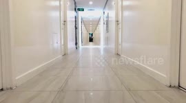 Fluffy Dog Rides Toy Car Around The House