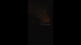 Rainy weather with lightning moments in Gaza City.