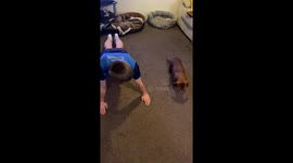 Adorable family dog helping owner keep fit during lockdown