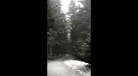 Snow fall captured in slow motion