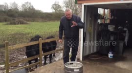 Testing barrel