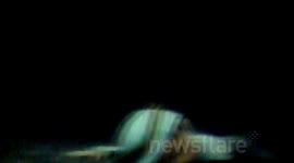 MOSI    Castlefield manchester Amazing Day out!!