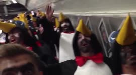 Hartlepool penguins escalator 