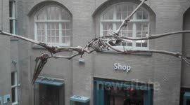 Pterodactyl and Totem pan